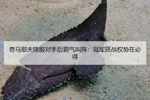 qi-ma-ye-fu-xiang-fu-dui-shou-hou-ba-qi-jiao-zhen-guan-jun-tiao-zhan-quan-shi-zai-bi-dei-2-203.jpg