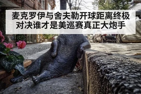 麦克罗伊与舍夫勒开球距离终极对决谁才是美巡赛真正大炮手